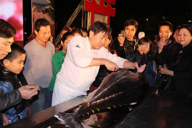 Cherry blossom festival opens in Ha long city - ảnh 2